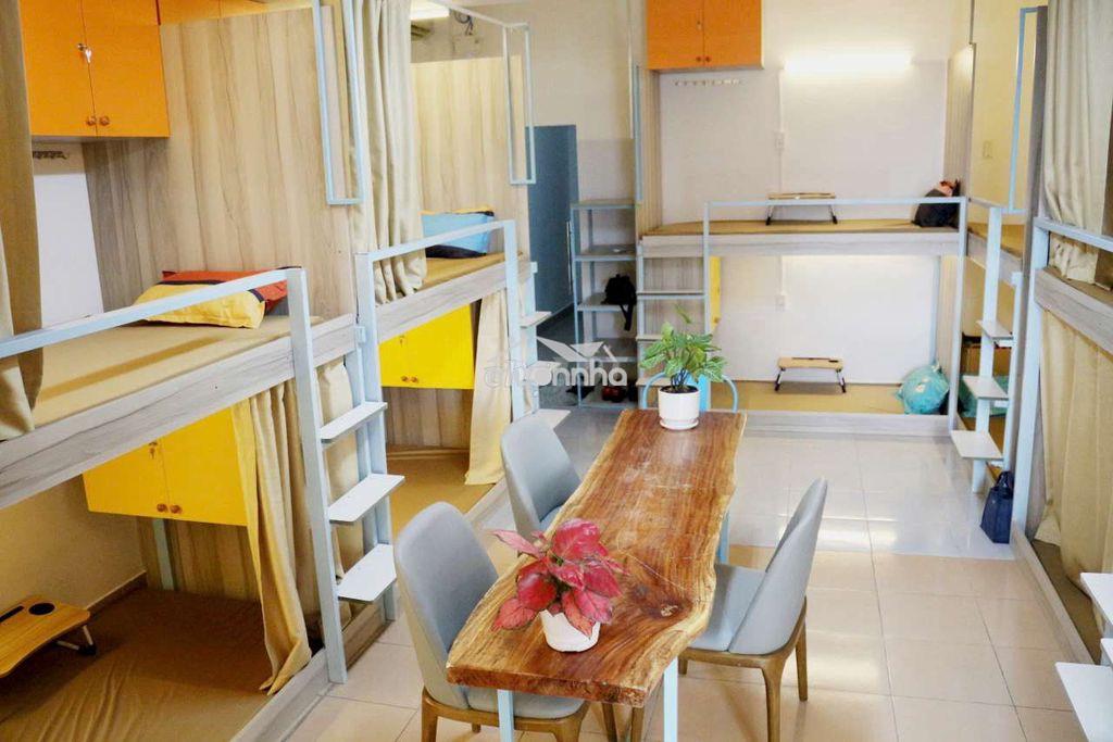 Ở ghép và thuê nhà: Chọn lựa phù hợp với bạn?