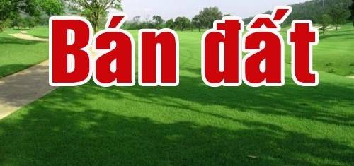 Bán Đất Thổ Cư Nhanh Chóng: Bí Quyết & Kinh Nghiệm Thực Tế