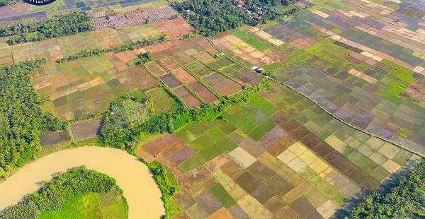 Công bố Kế hoạch sử dụng đất cấp huyện: Quy định mới nhất
