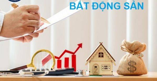 Giải Mã Thuật Ngữ Pháp Lý Bất Động Sản: Cẩm Nang Cho Nhà Đầu Tư