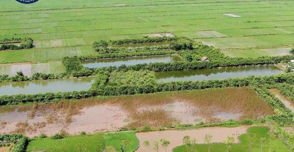 Hồ Sơ Đăng Ký Đất Đai Lần Đầu: Danh Sách Giấy Tờ Cần Thiết (Từ 01/08/2024)