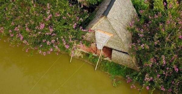 Homestay là gì? Đánh giá tiềm năng đầu tư năm nay