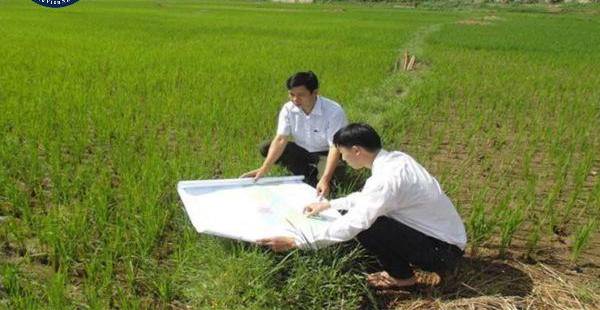 Hướng dẫn chi tiết điều tra, đánh giá đất đai để cấp sổ đỏ theo Nghị định 101