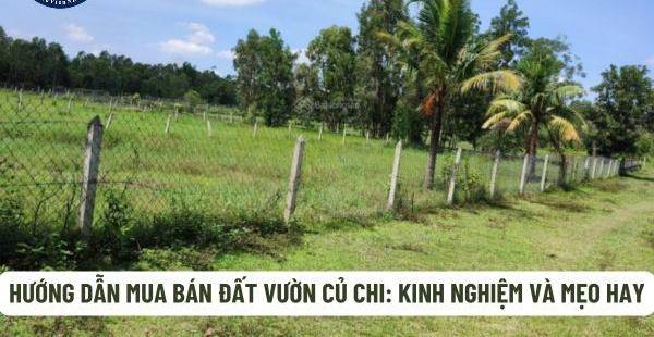 Kinh nghiệm mua bán đất vườn Củ Chi: Thủ tục, giá cả & Mẹo hay