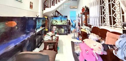 image-thi-truong-nha-rieng-quan-10-nam-2024-cap-nhat-gia-kinh-nghiem-mua-ban-thuc-te-20