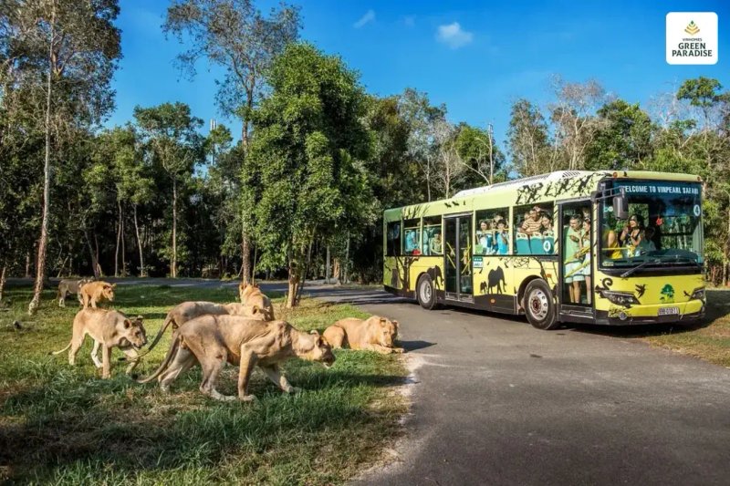 image-safari-vinhomes-can-gio-danh-gia-tiem-nang-thu-hut-khach-du-lich-quoc-te-20